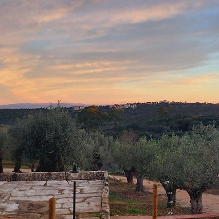 Casa Tosca Guest House Fatima Exterior photo